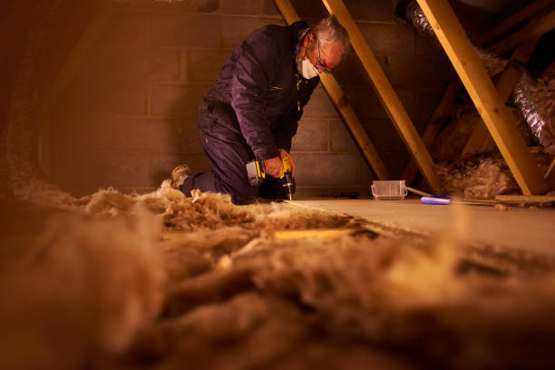 Best Insulation Inspection Services  in Catonsville, MD